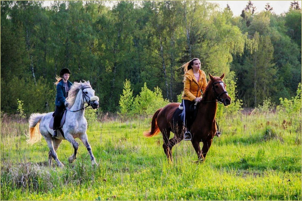 Отдых на конных прогулках в Ярославской области
