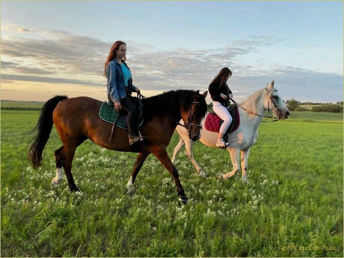 Отдых на конных прогулках в Ярославской области