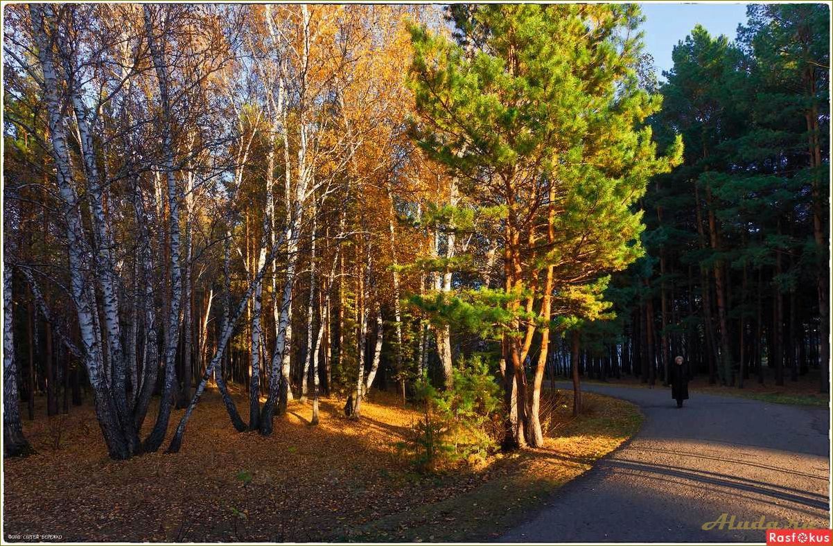 Отдых в Чернолучье и Красноярке Омской области — лучшие места для отпуска и активного времяпрепровождения