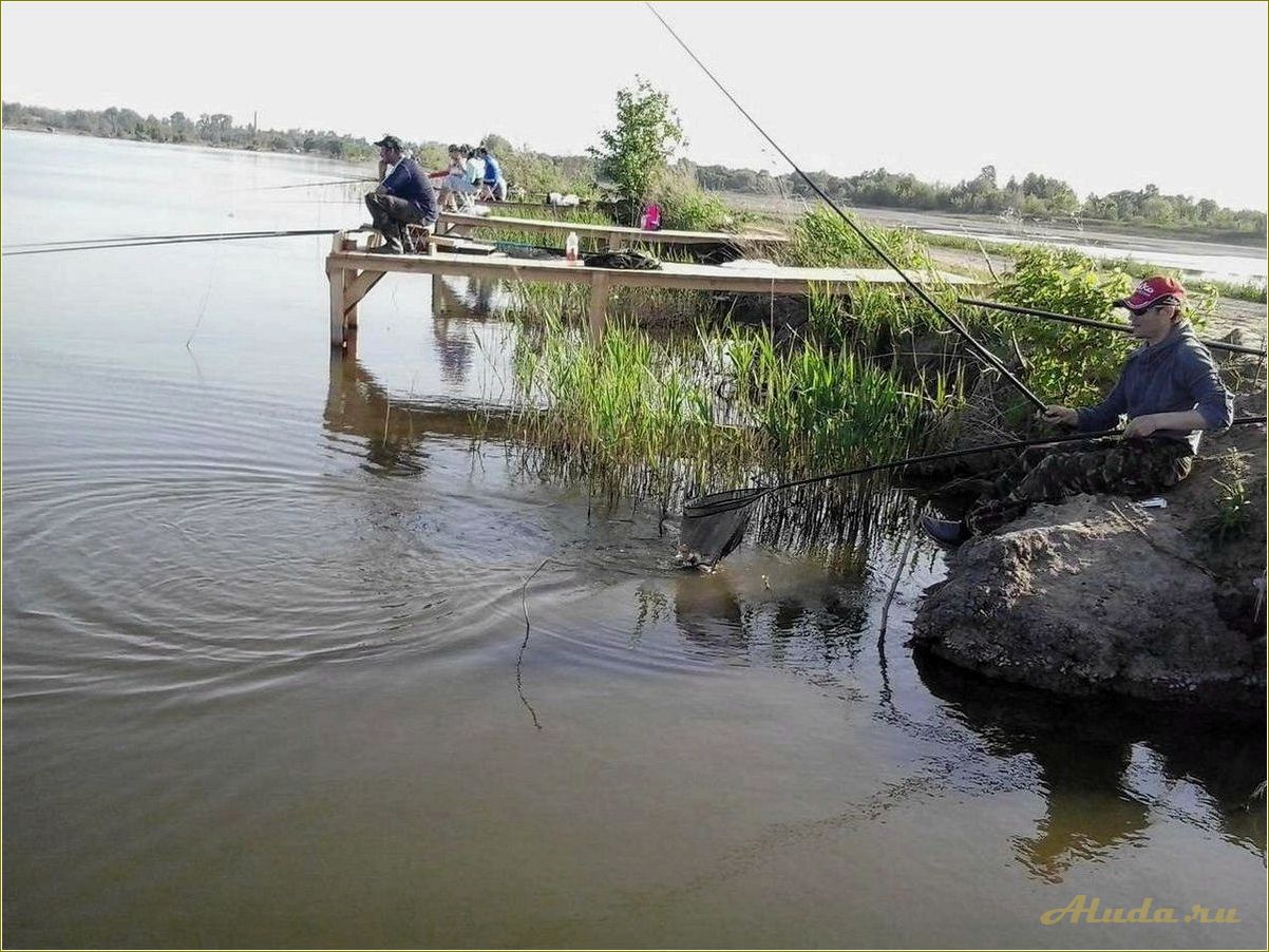 База отдыха с рыбалкой в Тамбовской области: идеальное место для релакса и увлекательного времяпрепровождения