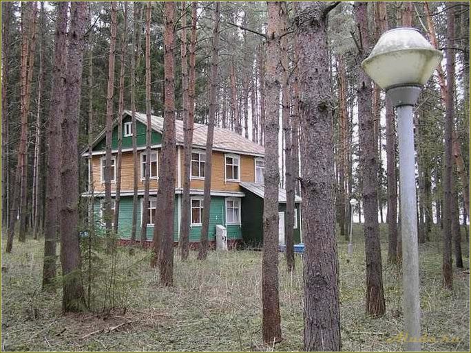Волжский сон: дом отдыха в Ярославской области