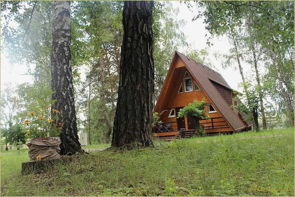 База отдыха Ока Тульская область: отличный отдых на природе