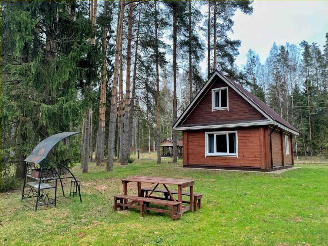 Сколько стоит отдых на базе отдыха в Новгородской области?