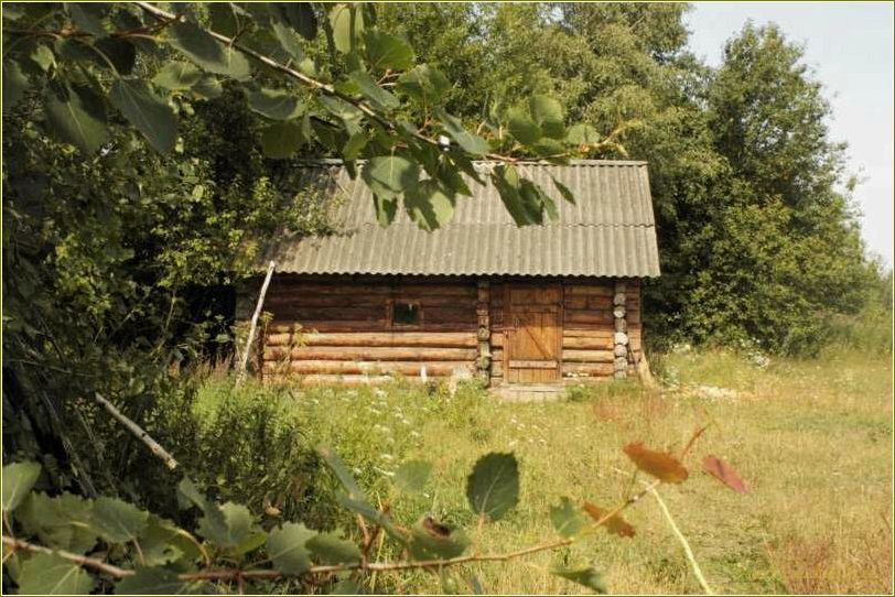 База отдыха в Заборье Смоленской области: комфорт и природа в одном месте
