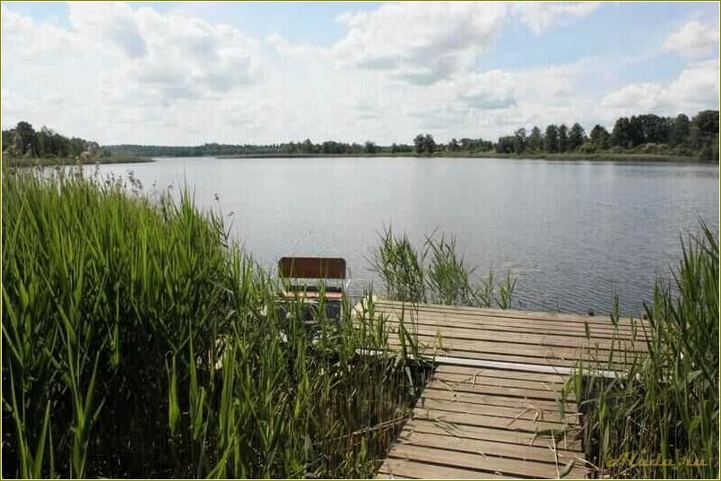 База отдыха в Заборье Смоленской области: комфорт и природа в одном месте