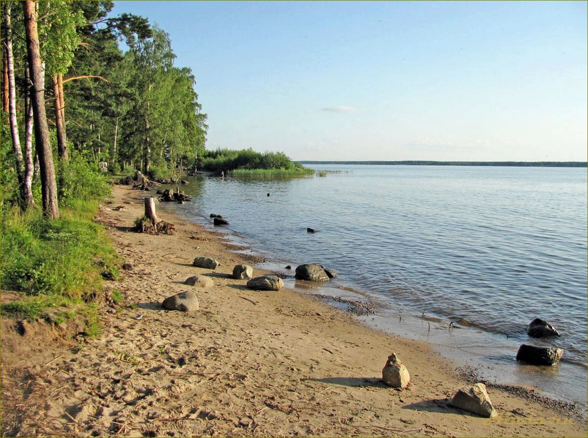 База отдыха на Рыбинском водохранилище Ярославская область с бассейном