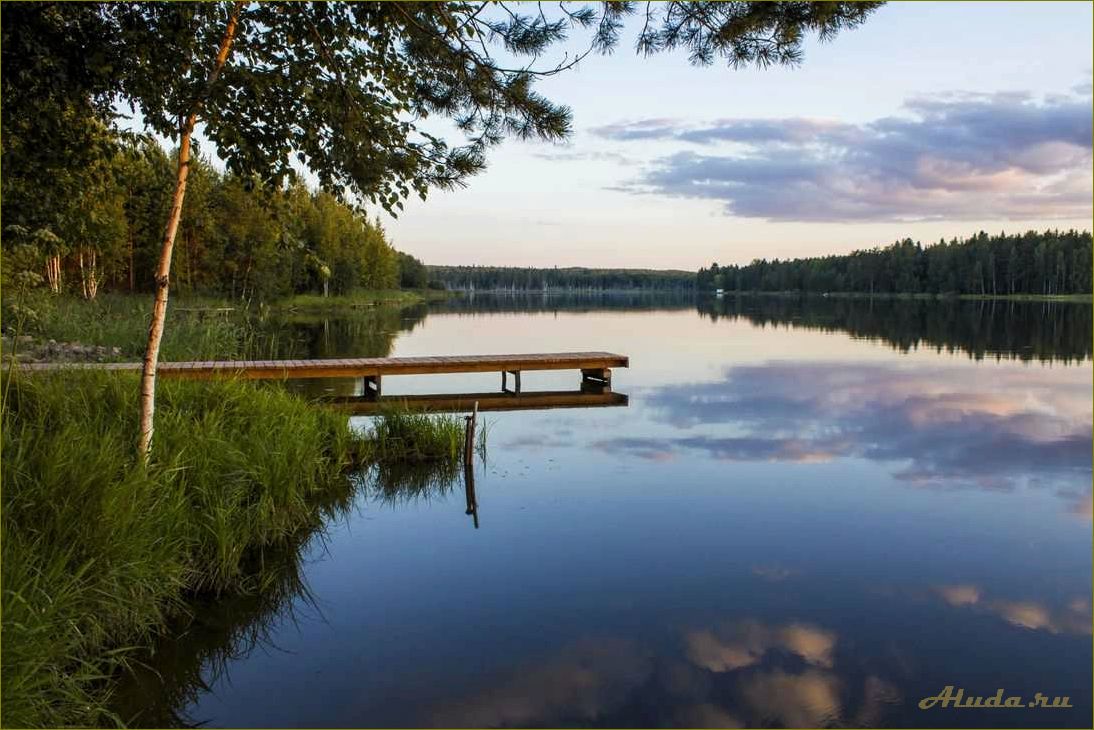 База отдыха в Нижегородской области — идеальное место для рыбалки и активного отдыха в природе