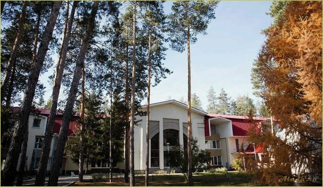 Отдых на базе в Екатериновке в Самарской области — идеальное место для семейного отдыха и активного времяпрепровождения