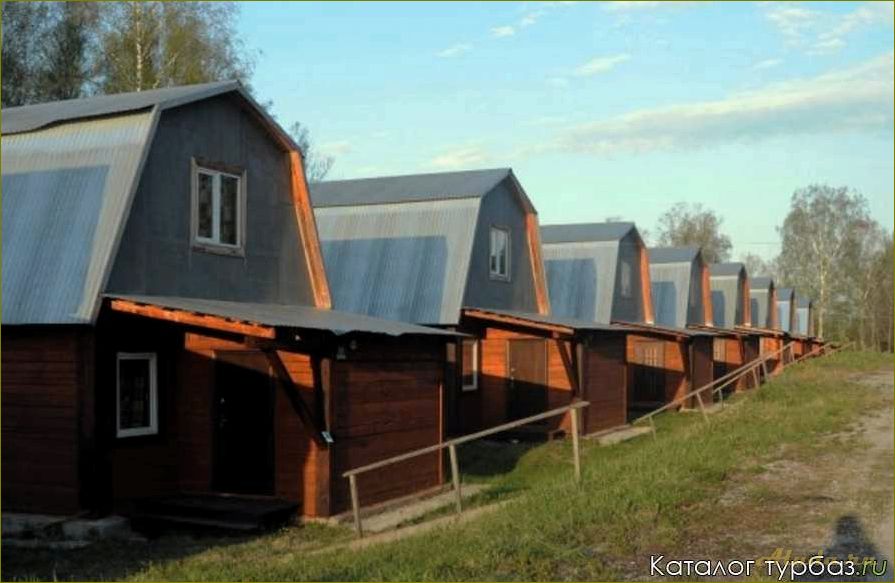 База отдыха в Юрманке Новосибирской области — идеальное место для семейного отдыха на природе