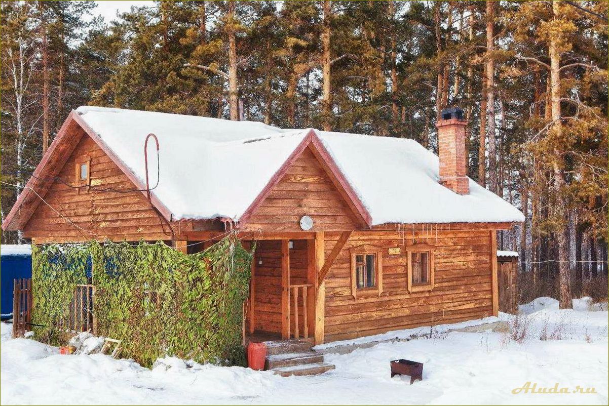 Идеальное место для зимнего отдыха в новосибирской области — база отдыха в окружении заснеженных лесов и горных пейзажей