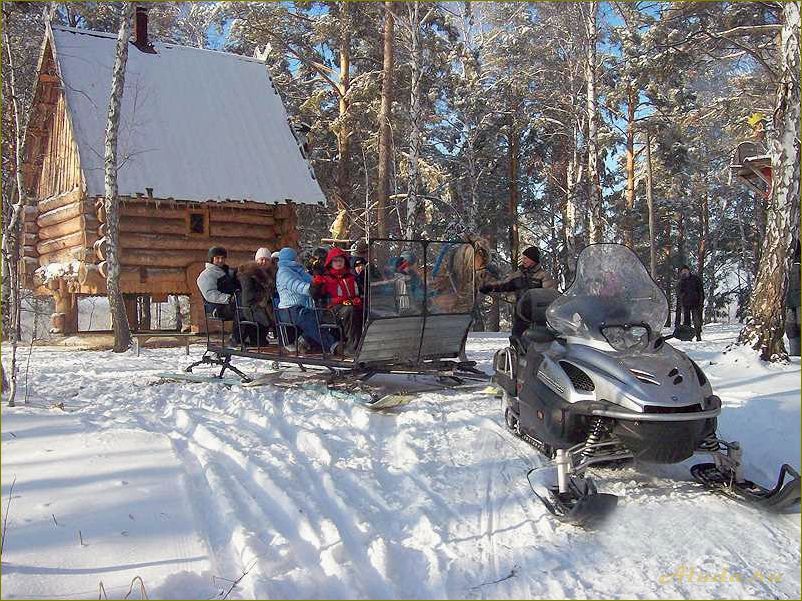 Идеальное место для зимнего отдыха в новосибирской области — база отдыха в окружении заснеженных лесов и горных пейзажей
