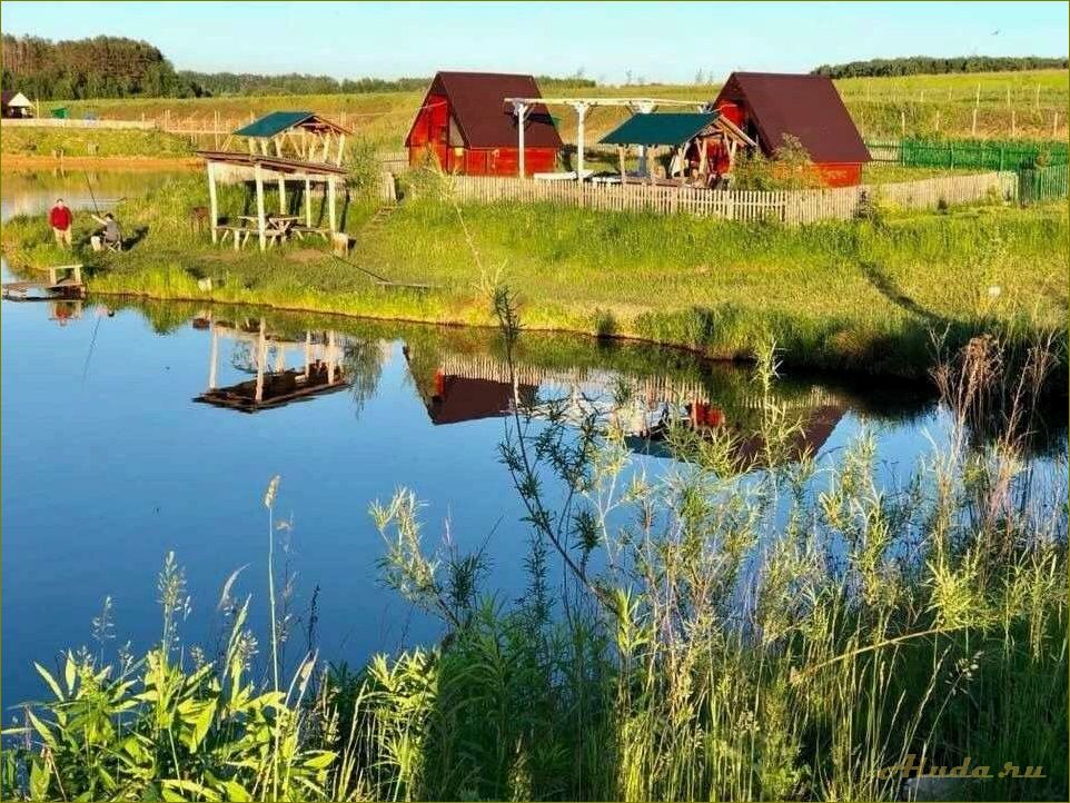 Лучшие базы отдыха в Орловской области с водоемами для незабываемого отдыха