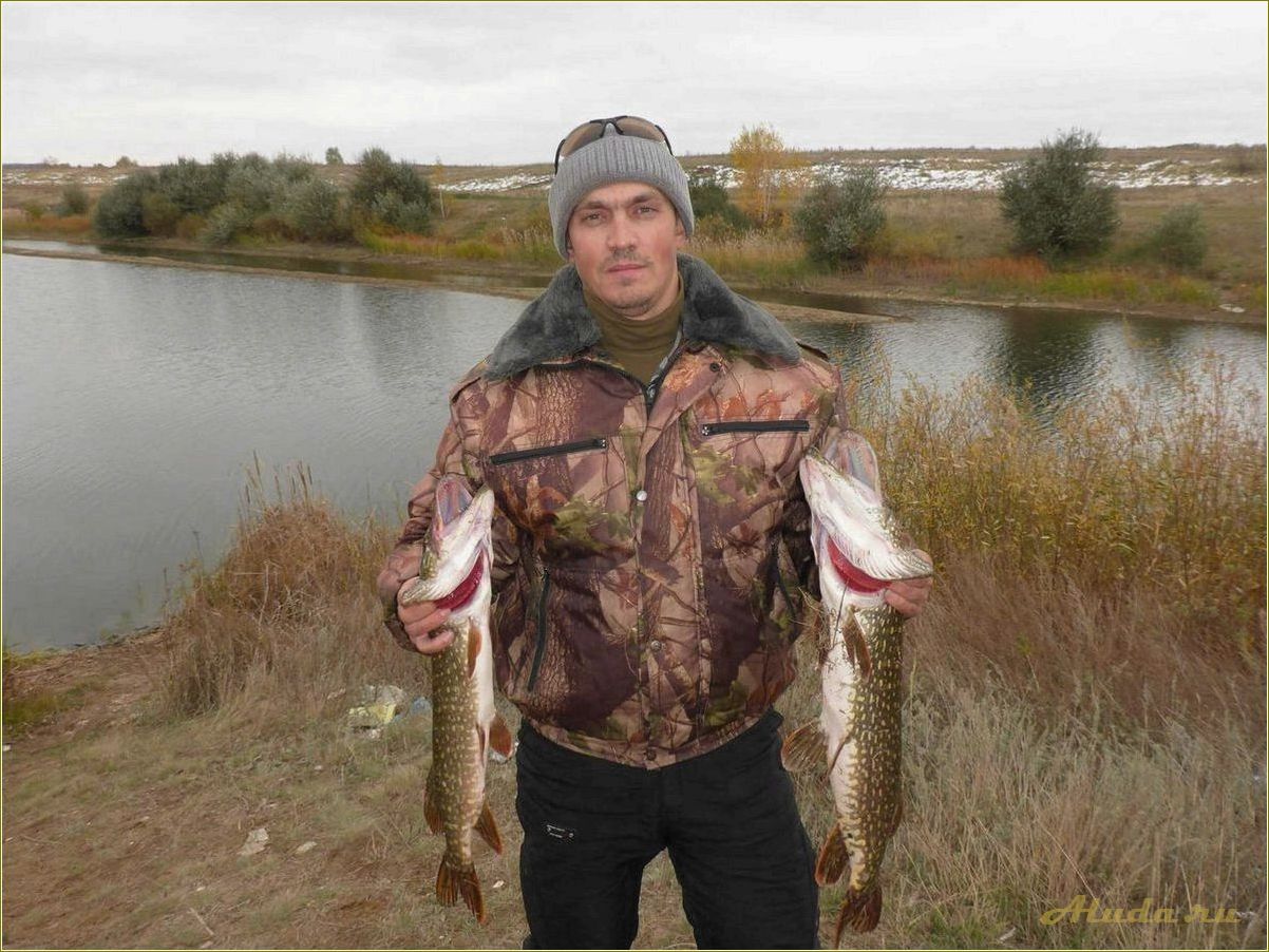 Базы отдыха на Волге с рыбалкой в Самарской области