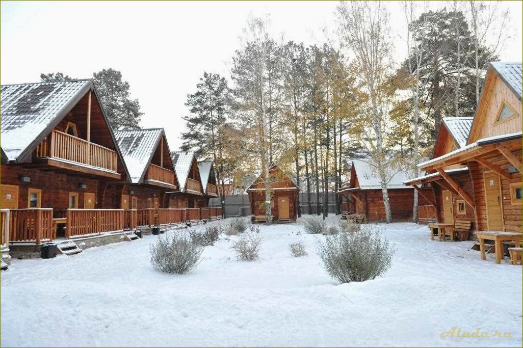 Лучшие базы отдыха в новосибирской области для зимнего отдыха — где провести незабываемую зимнюю поездку