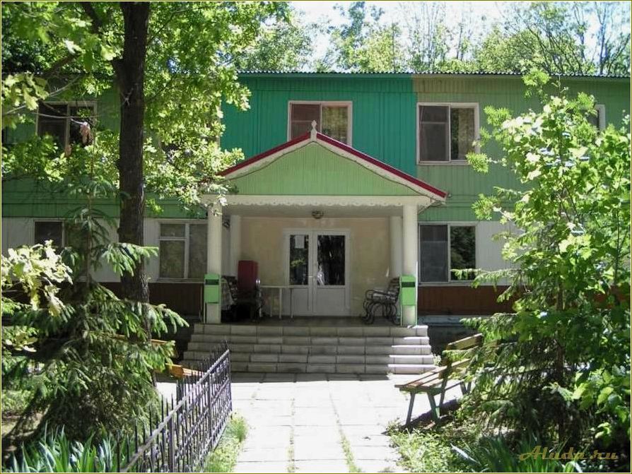 Отдых в Саратовской области: Лесная нимфа — идеальная база для релаксации