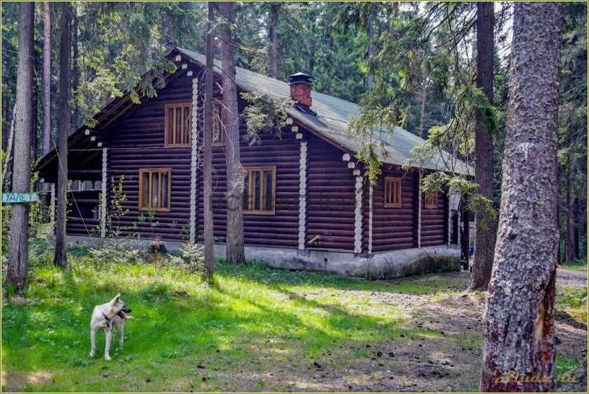 Отдых в коттеджах баз отдыха Свердловской области