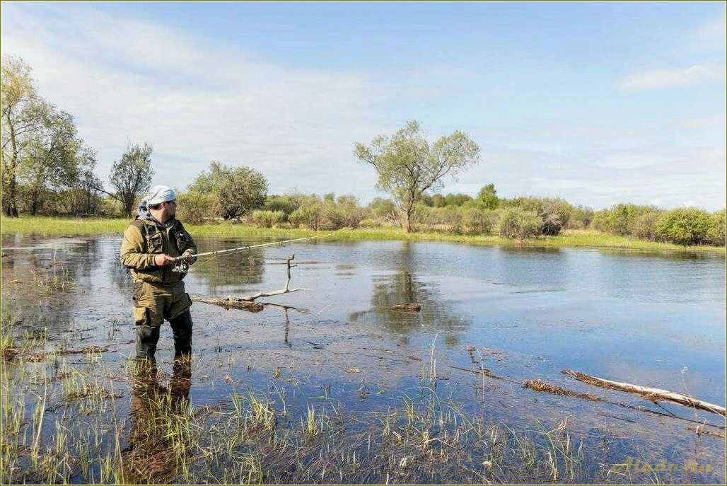 Рыбалка и отдых в Тюменской области