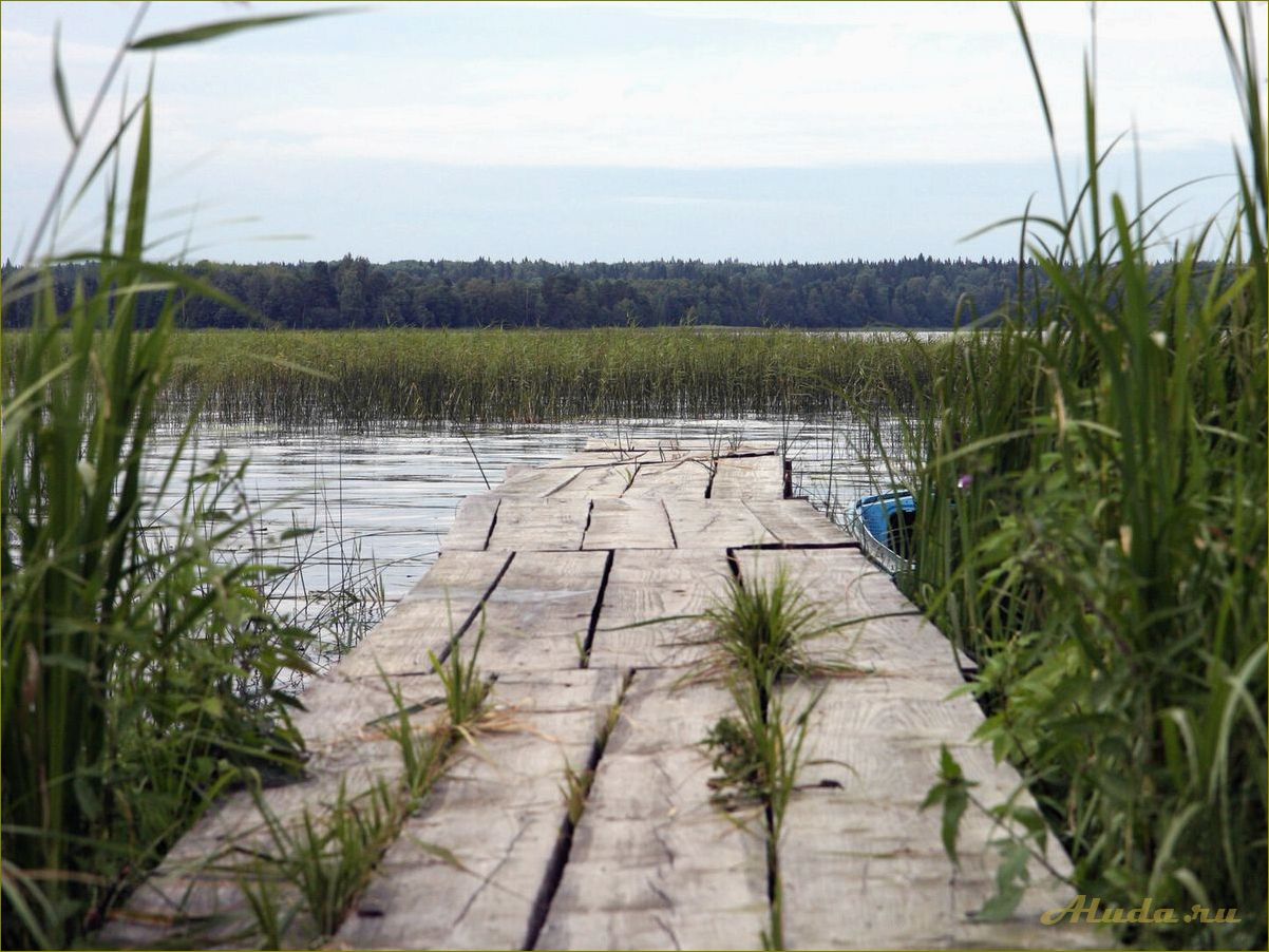 Тверская область: отдых на озере