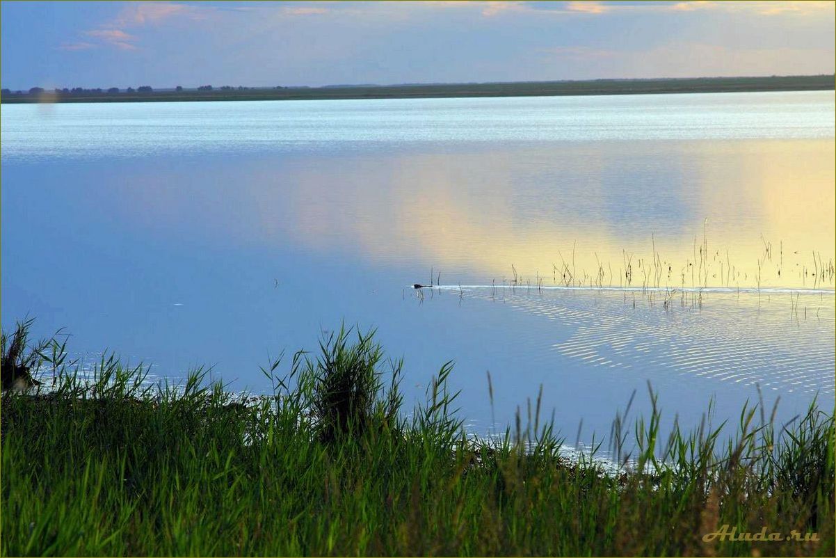 Лучшие водоемы для отдыха в новосибирской области, где можно насладиться природой и расслабиться с семьей и друзьями