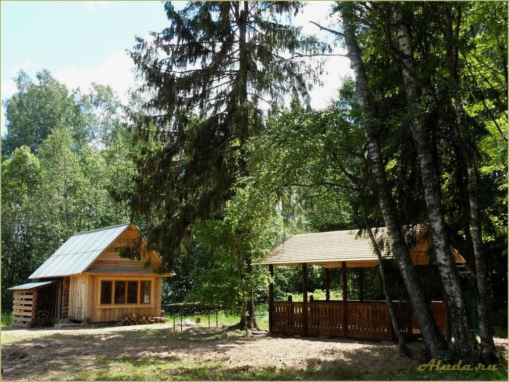 Отдых в лесах Ростовской области — прекрасная база отдыха для любителей природы и активного отдыха