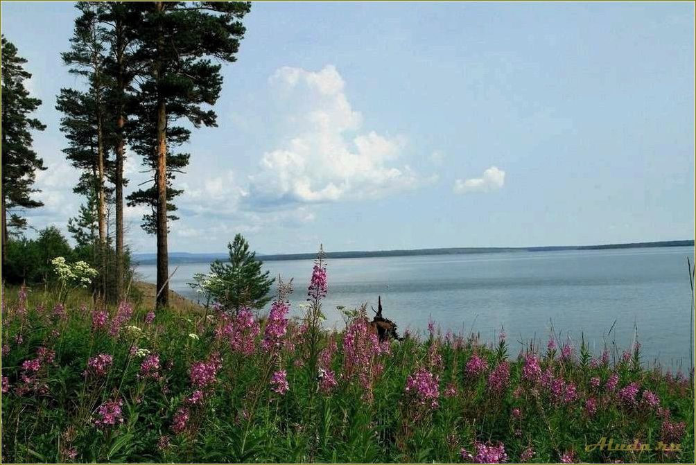 Отдых на базе в Невьянском районе Свердловской области: лучший способ расслабиться и насладиться природой