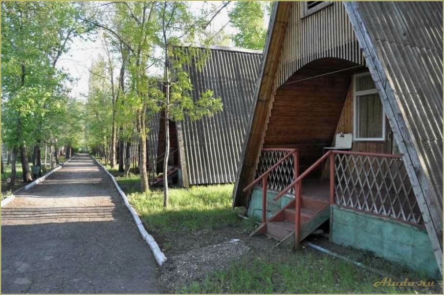 База отдыха Волга Саратовская область Пристанное