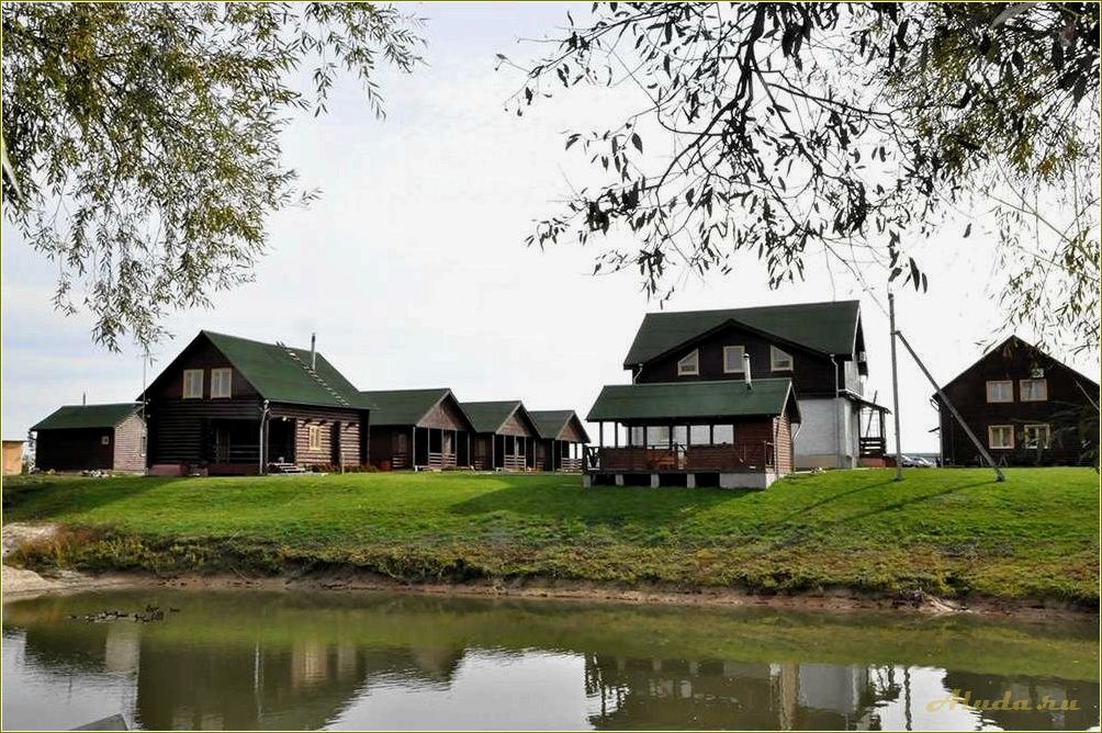 Базы отдыха на реке Оке Рязанской области — идеальные места для спокойного отдыха и активного времяпрепровождения