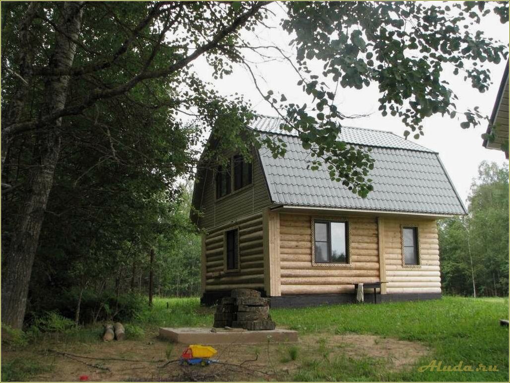 Дом отдыха на Волге в Тверской области: идеальное место для отпуска