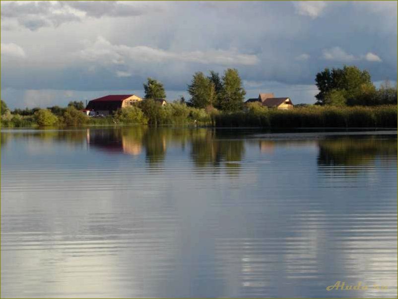 Уникальные возможности для отдыха и релаксации в доме отдыха у озера в Новосибирской области