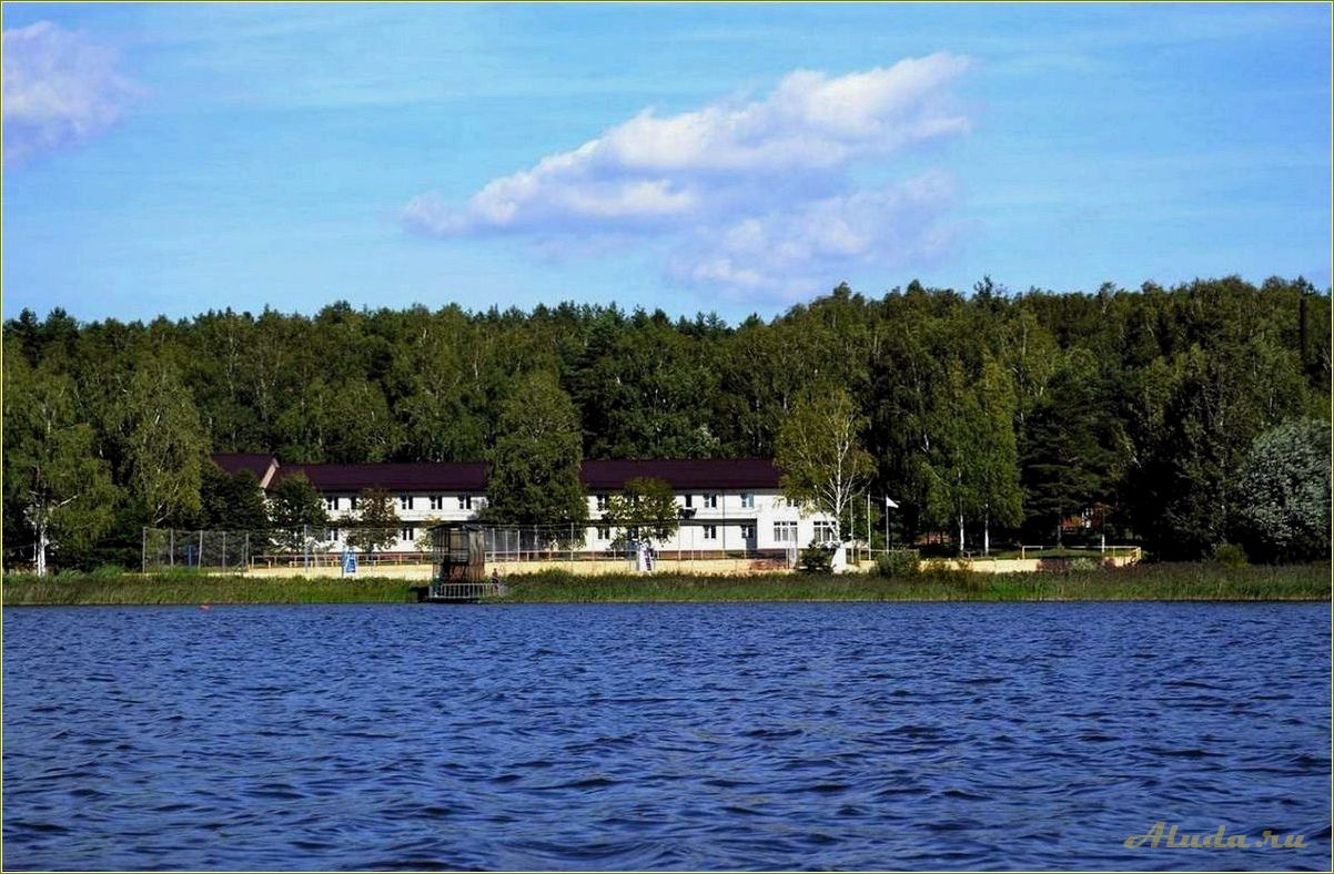 Дома отдыха Касимовского района Рязанской области — отличный выбор для комфортного отдыха на природе