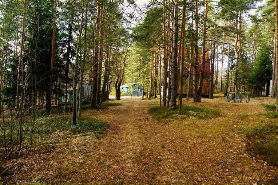 Где купить базу отдыха в Новгородской области — лучшие предложения и советы