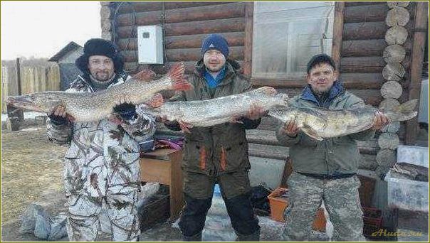 Молчаново Томская область: база отдыха Рыбачок