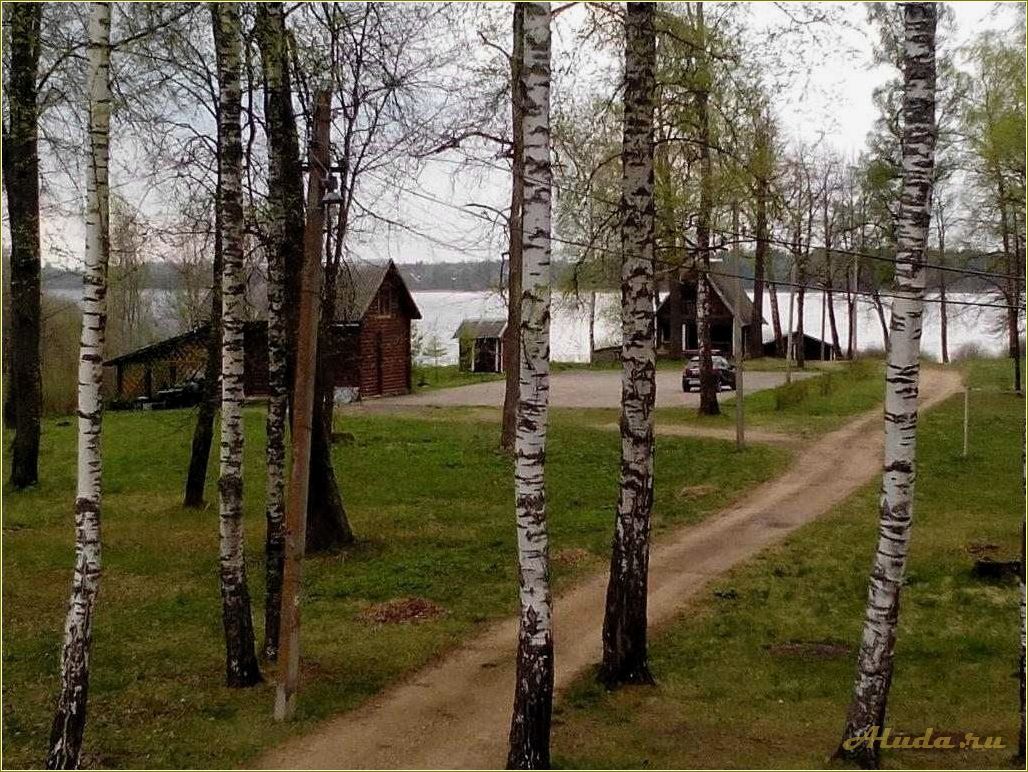 Отдых в Вышневолоцком районе Тверской области