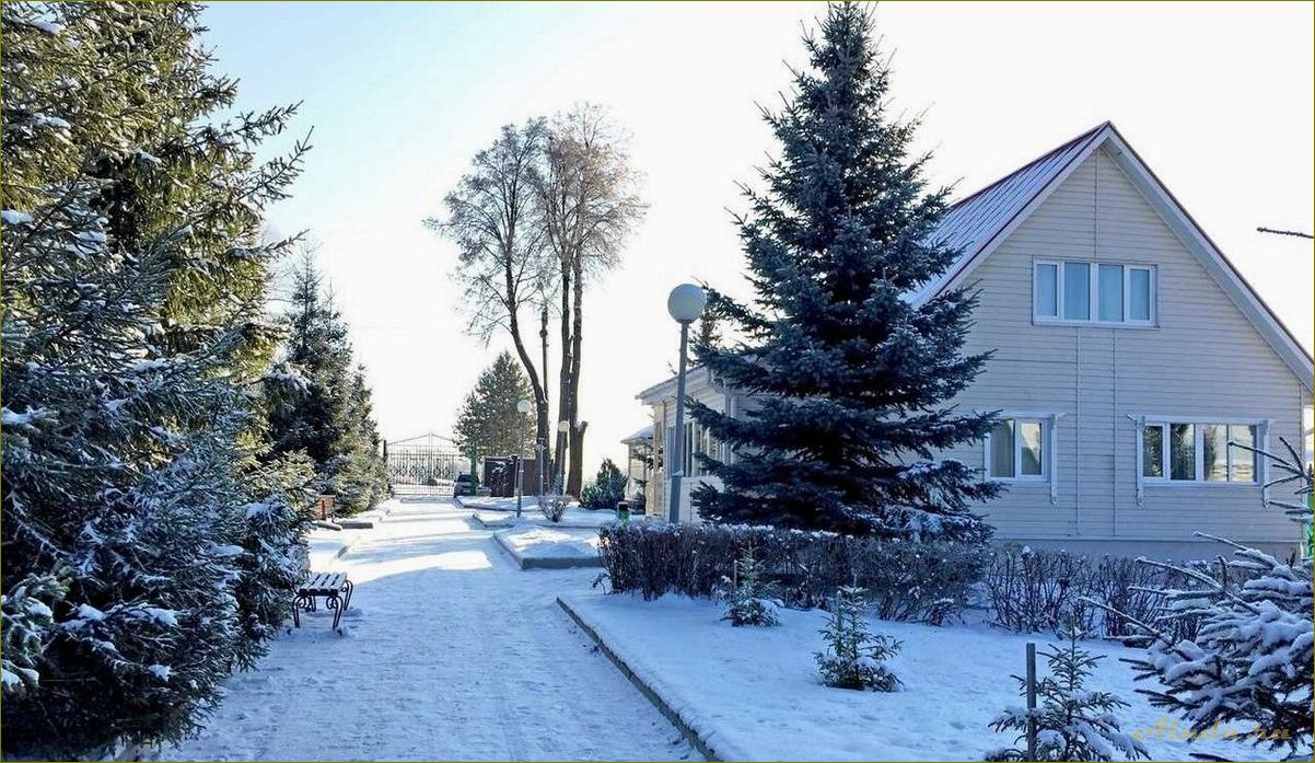 Все, что нужно знать о зимнем отдыхе в орловской области
