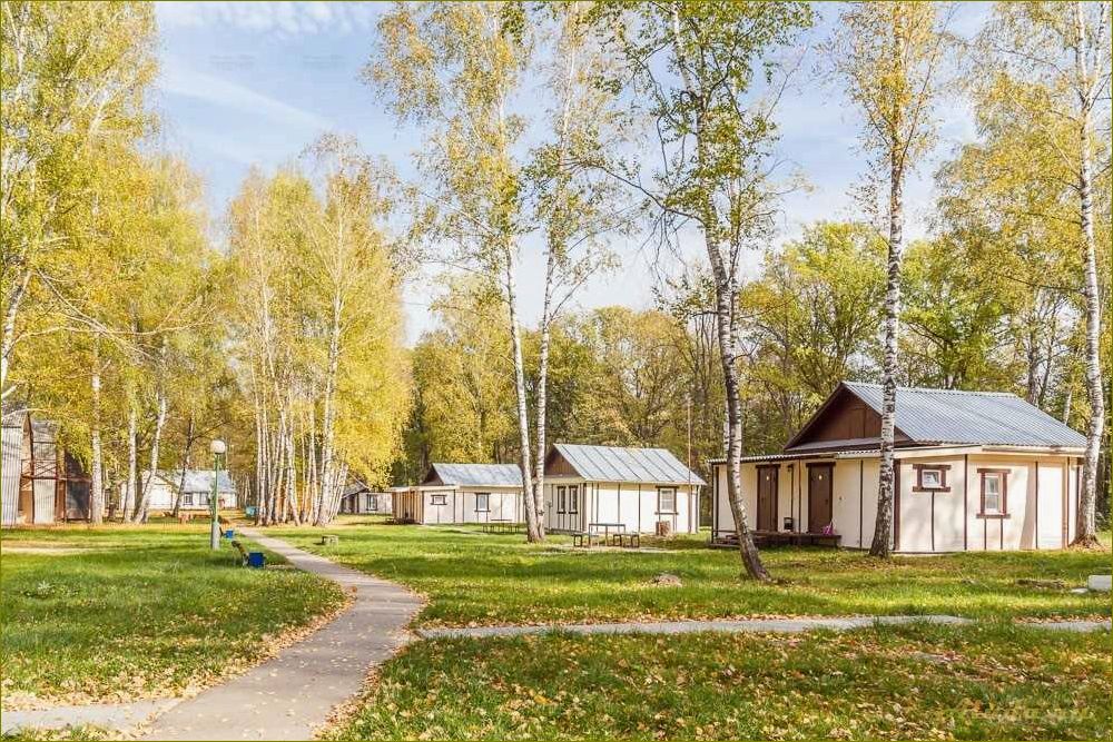 База отдыха в живописном Кургане Нижегородской области — идеальное место для восстановления сил и наслаждения природой