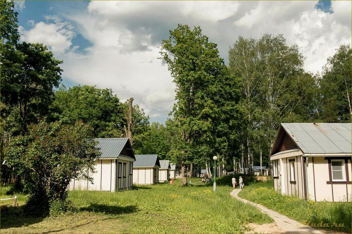 База отдыха в живописном Кургане Нижегородской области — идеальное место для восстановления сил и наслаждения природой