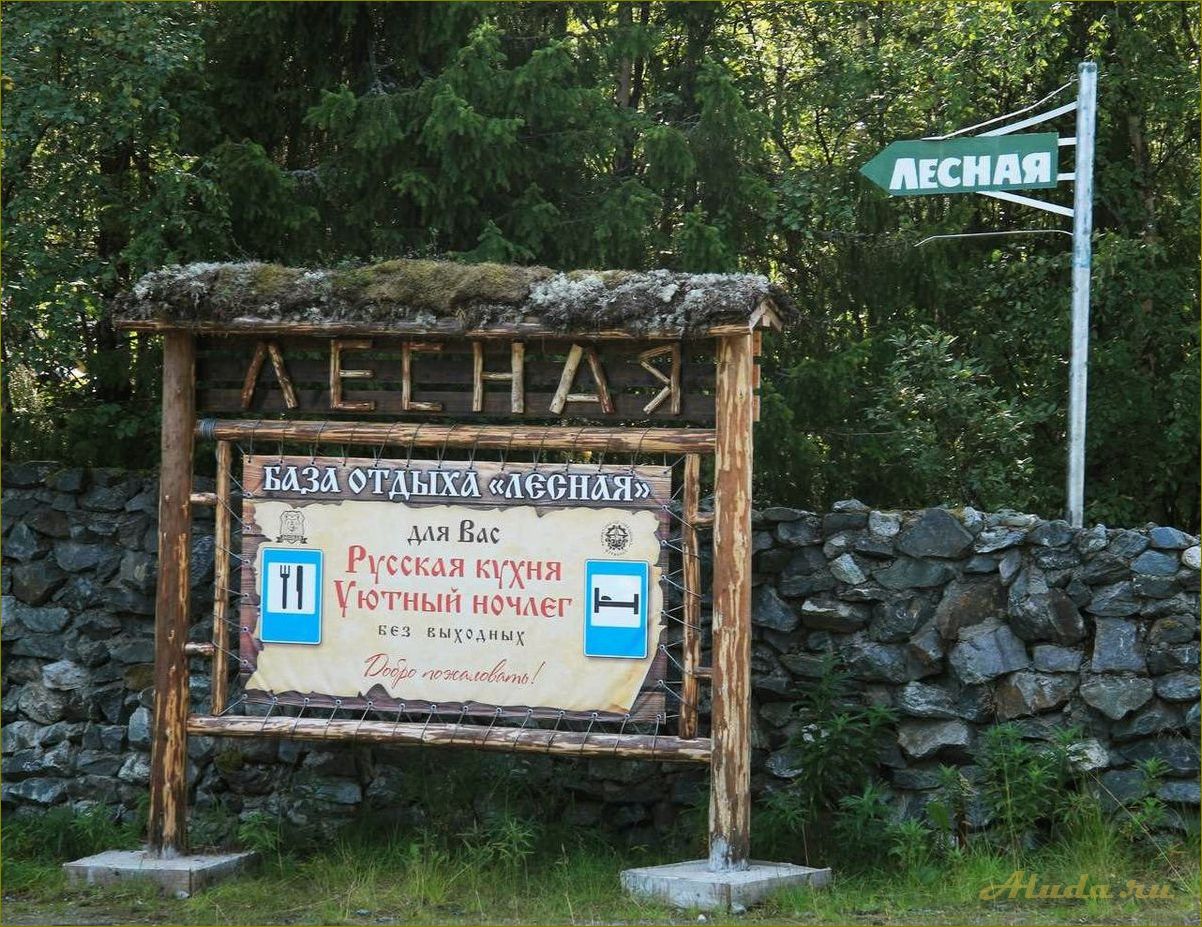 База отдыха в лесах Кировска, Мурманская область — идеальное место для отдыха на природе