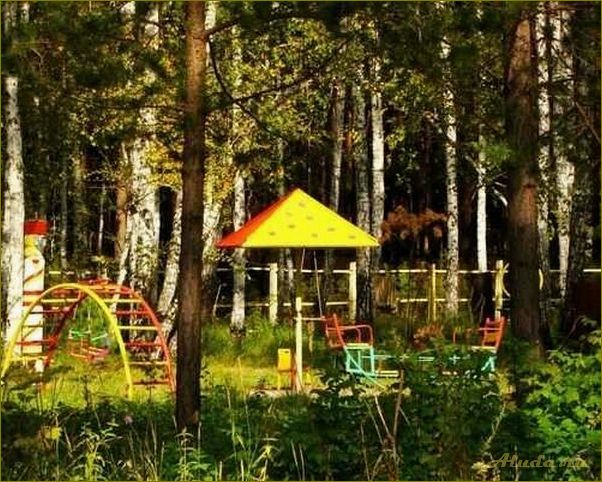 Замечательная база отдыха в лесах Омской области — идеальное место для отдыха и релаксации