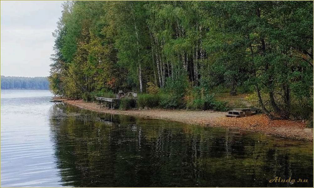 База отдыха на реке Десна в Смоленской области