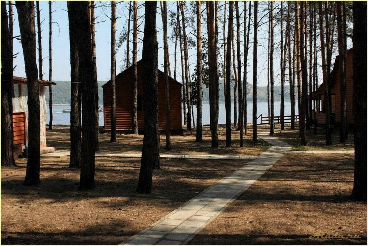 База отдыха в сосновом лесу Самарской области — комфорт и уют для идеального отдыха