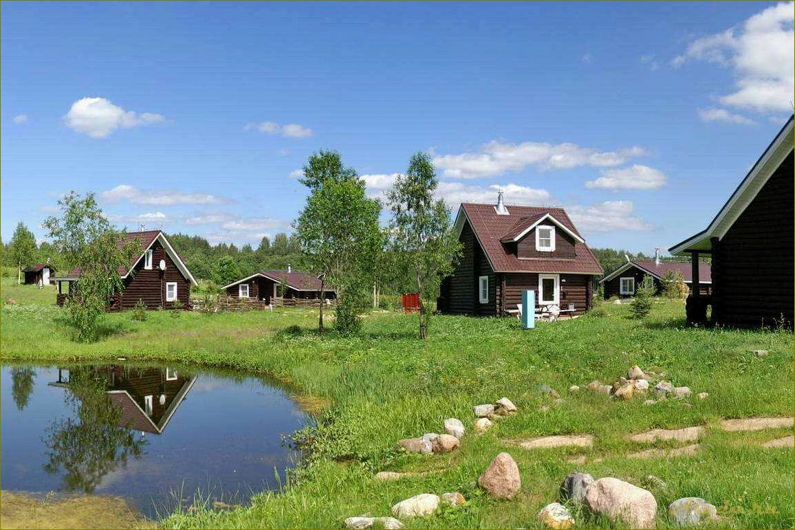 База отдыха Еремина гора в Новгородской области — идеальное место для релаксации и активного отдыха