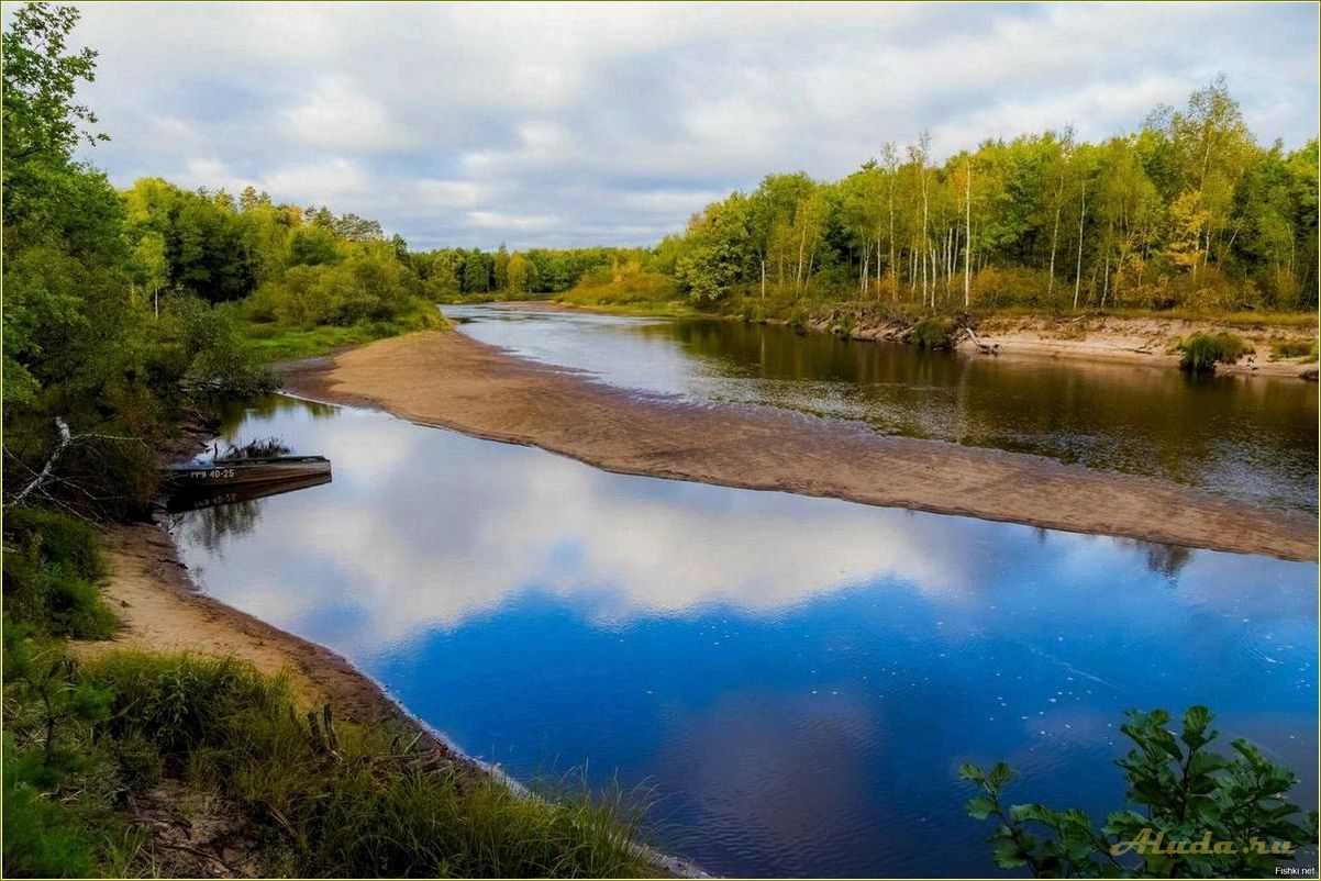 Отдых на реке Пра — база отдыха в Рязанской области с комфортными условиями