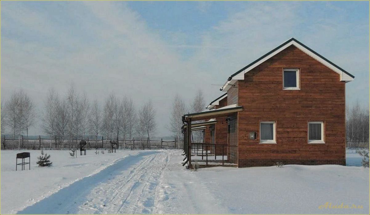 База отдыха в Рыбновском районе Рязанской области — идеальное место для релакса и активного отдыха