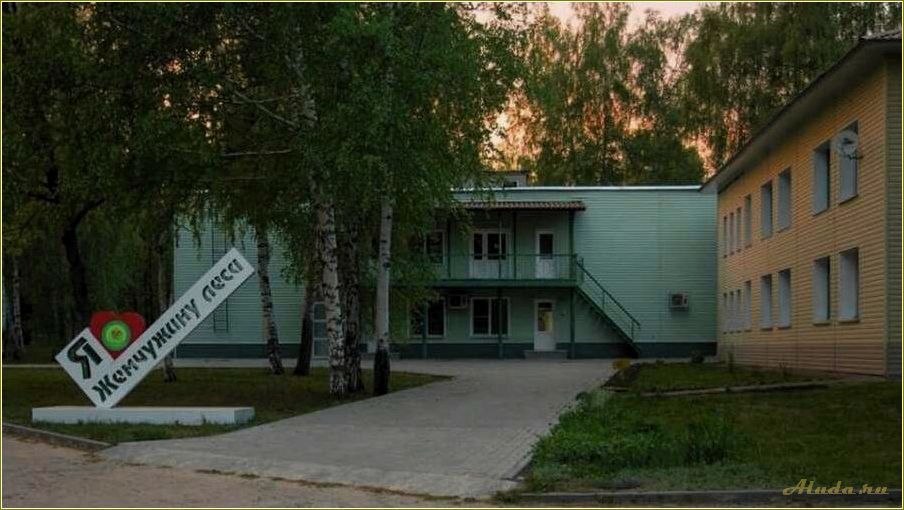 Базы отдыха и санатории Тамбовской области