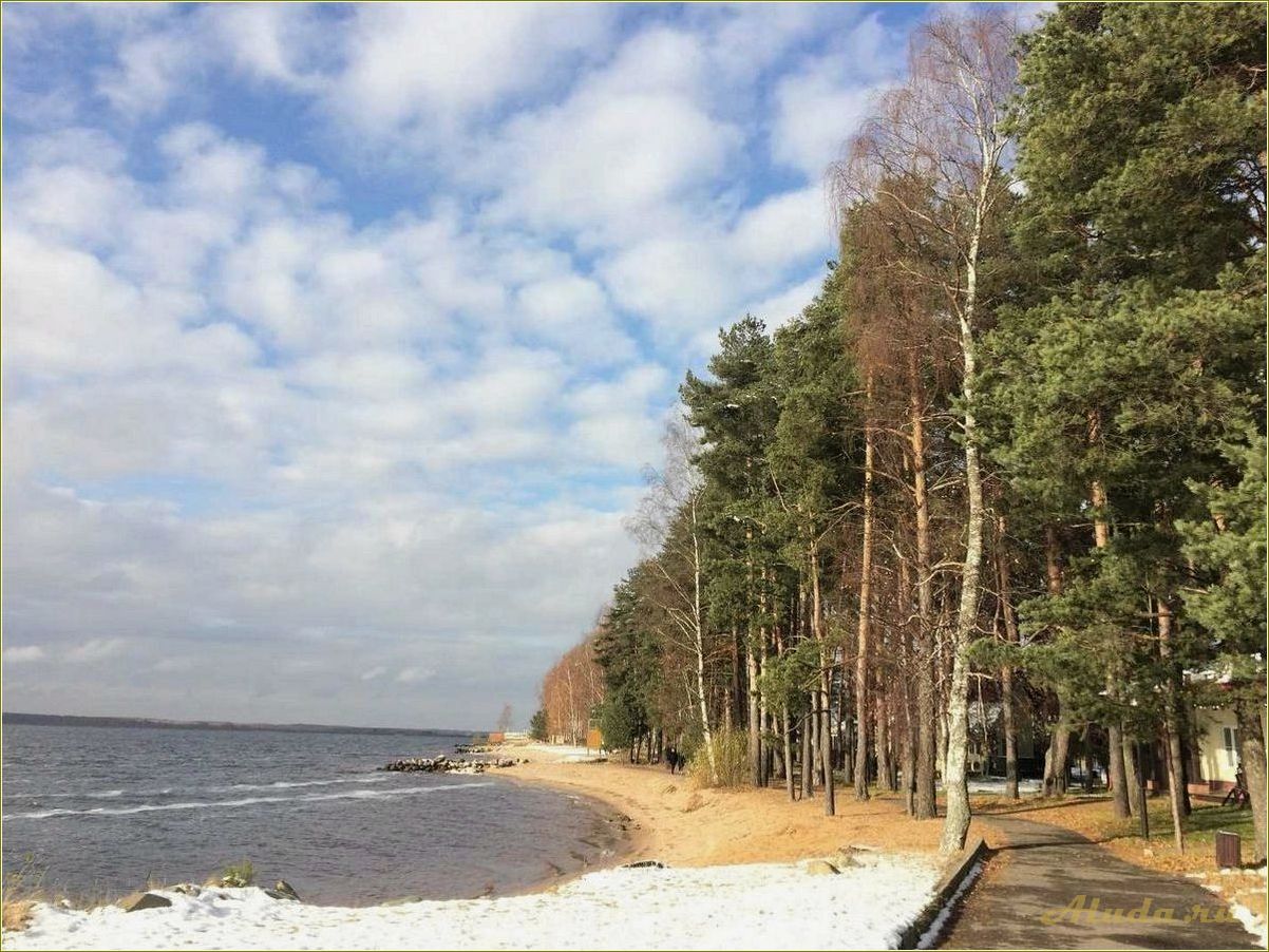Базы отдыха на Волге в Ярославской области с пляжем