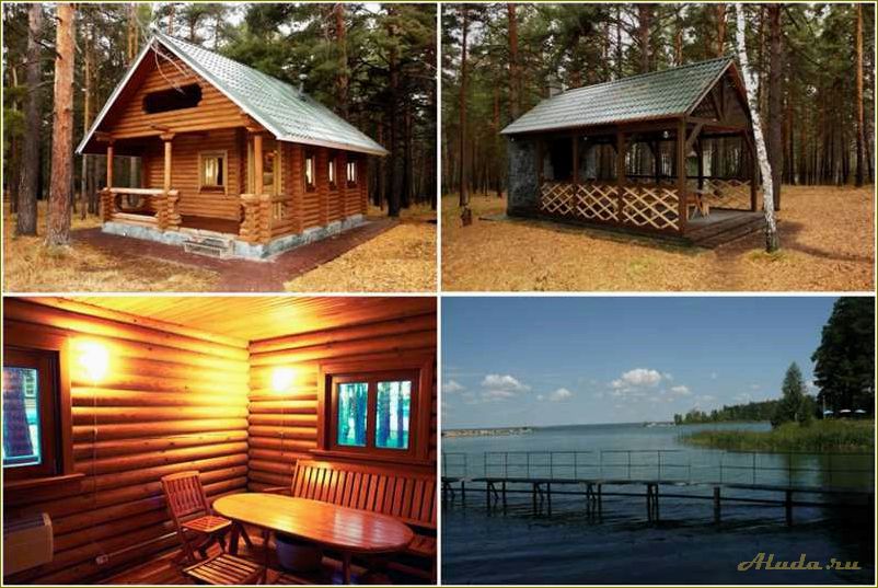 Базы отдыха в Новосибирске и Новосибирской области — лучшие места для идеального отдыха и релаксации