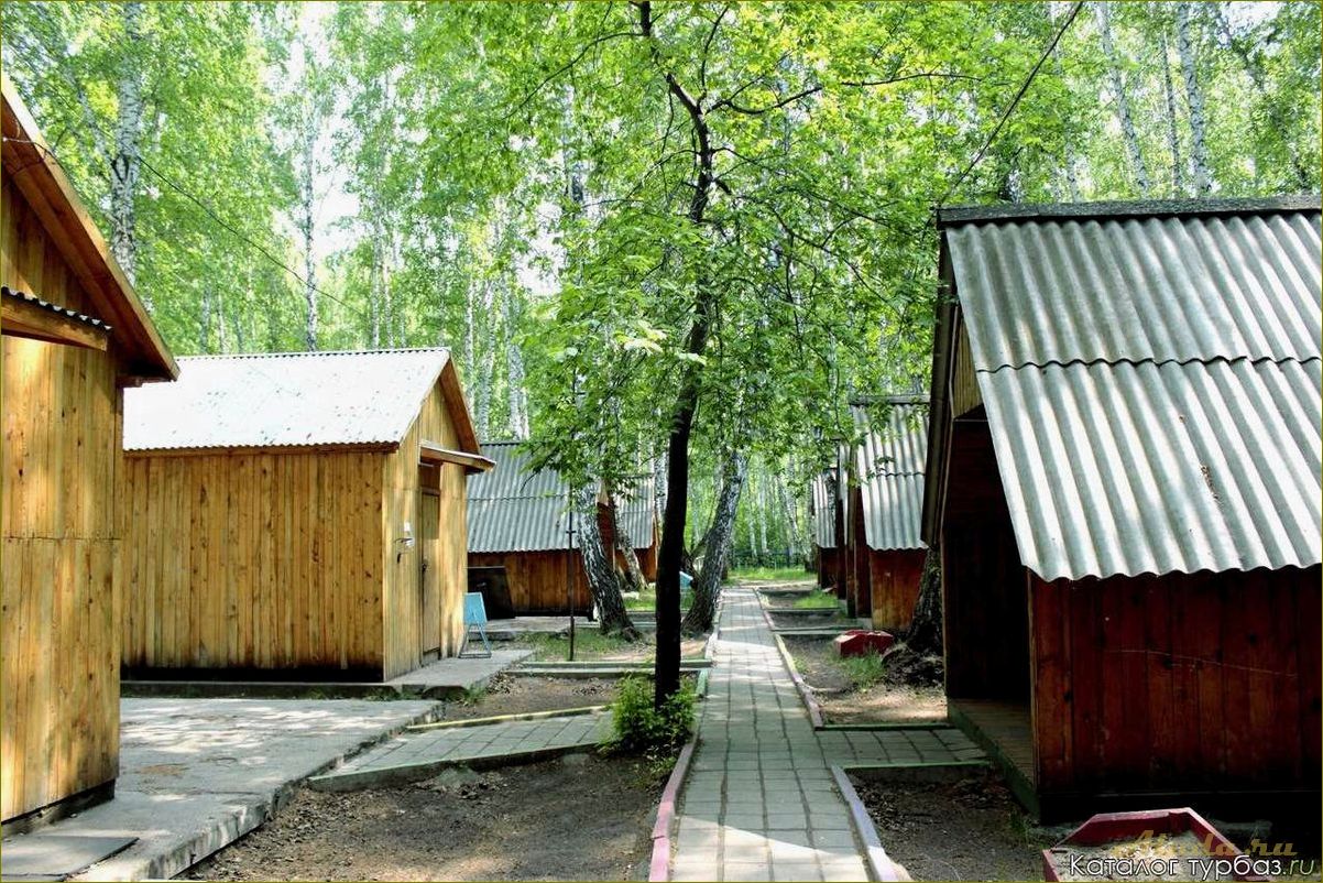 Базы отдыха в Новосибирске и Новосибирской области — лучшие места для идеального отдыха и релаксации
