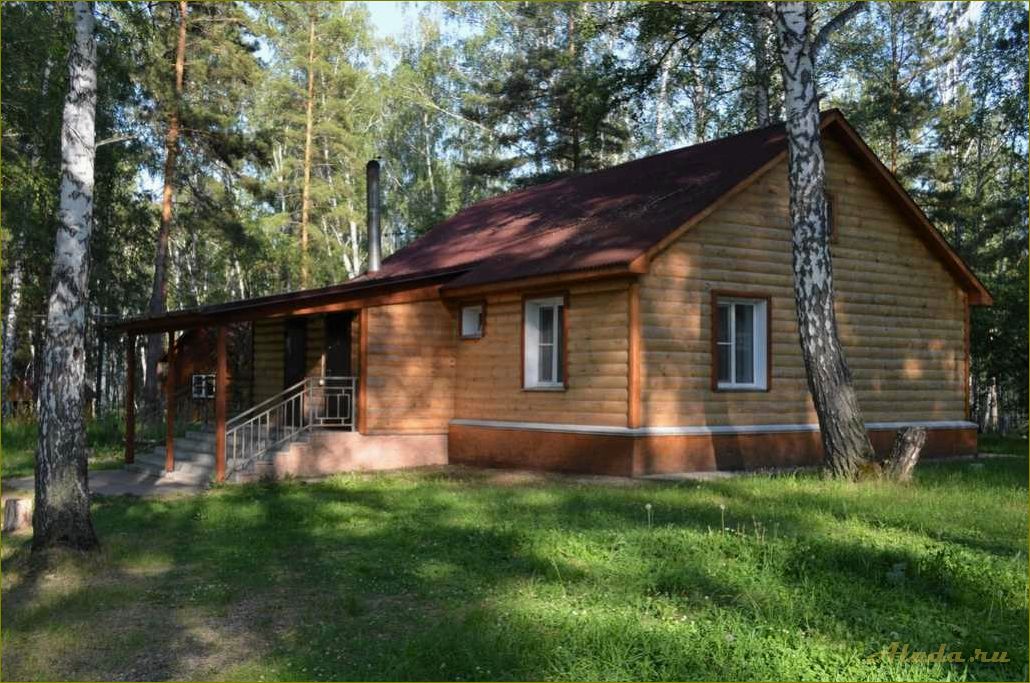 Базы отдыха в Быстровке Новосибирской области — отличный вариант для семейного отдыха и активного времяпрепровождения