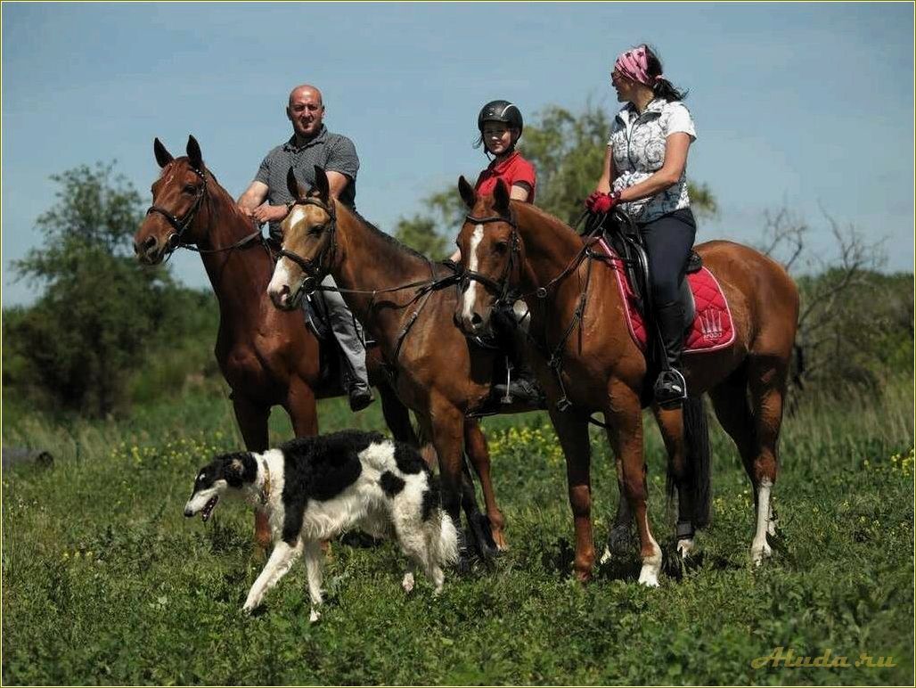 Путешествие в мир конного отдыха в Ростовской области — великолепные прогулки на лошадях, удивительные пейзажи и незабываемые эмоции
