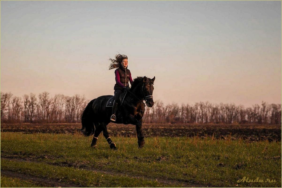 Путешествие в мир конного отдыха в Ростовской области — великолепные прогулки на лошадях, удивительные пейзажи и незабываемые эмоции